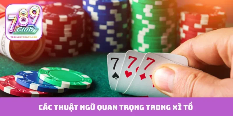 Các thuật ngữ quan trọng trong xì tố