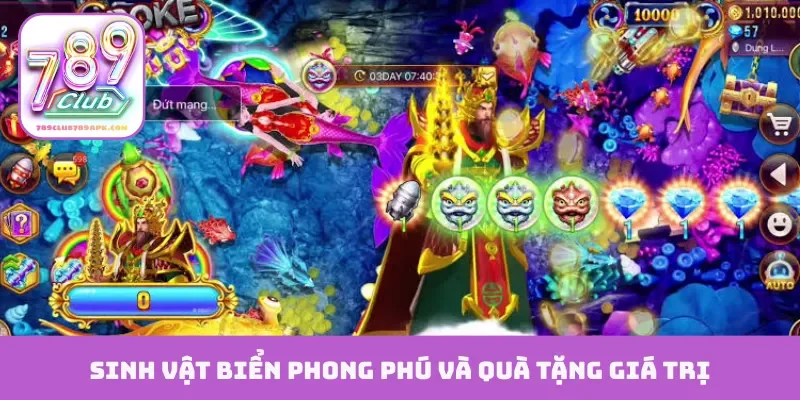 Sinh vật biển phong phú và quà tặng giá trị