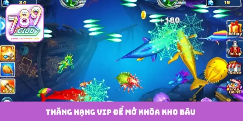 Thăng hạng VIP để mở khóa kho báu